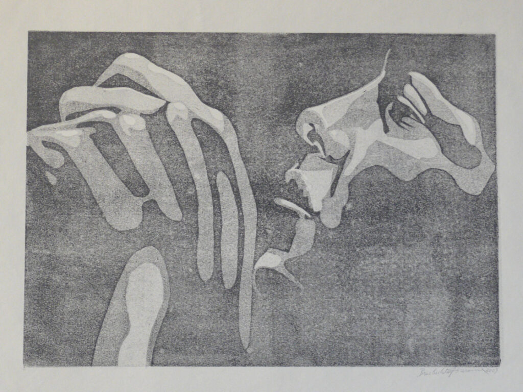 Let's have a look 6/5 | 57 x 42 cm; Linoldruck auf Papier
