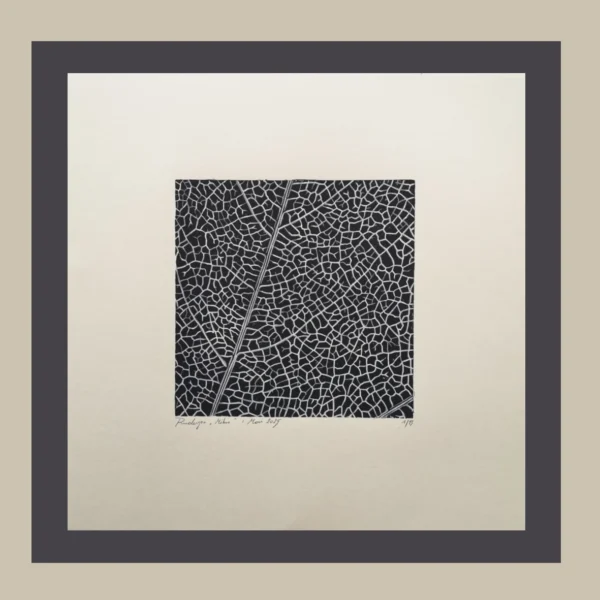 Mikro – Bild 6