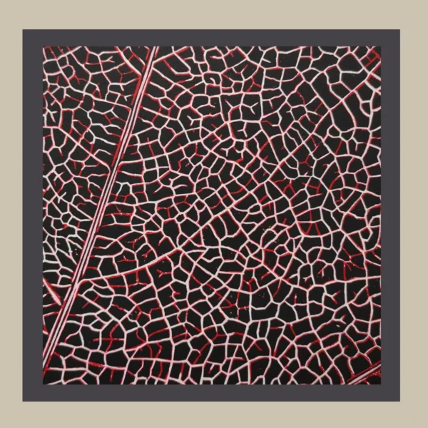 Mikro – Bild 5