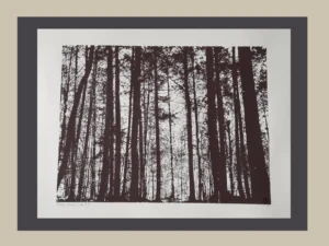 Woid2 - Sepia