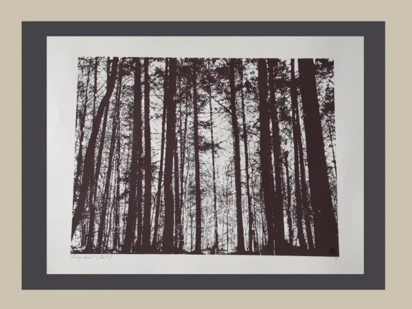 Woid2 – Bild 2