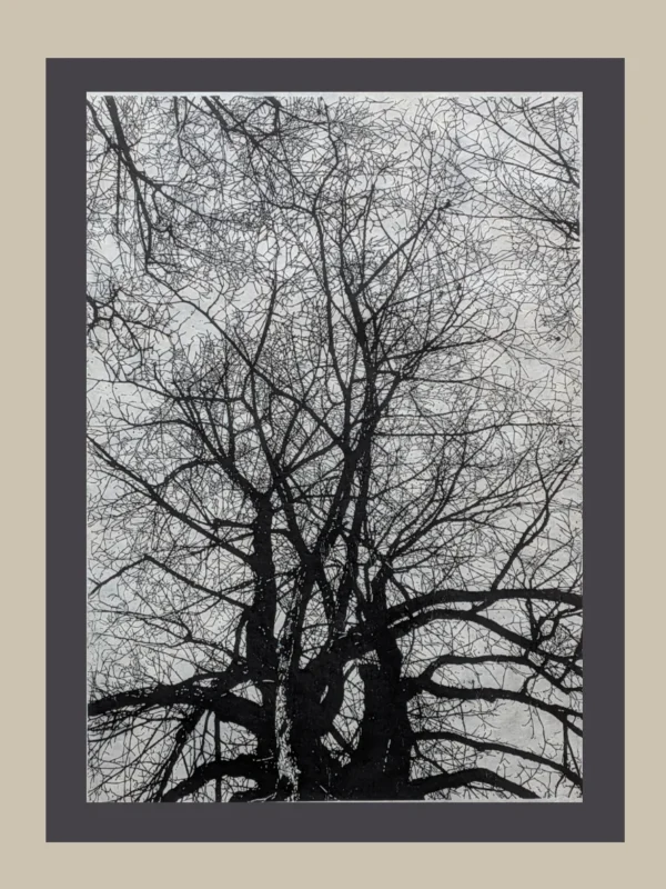 Sterz – Bild 2