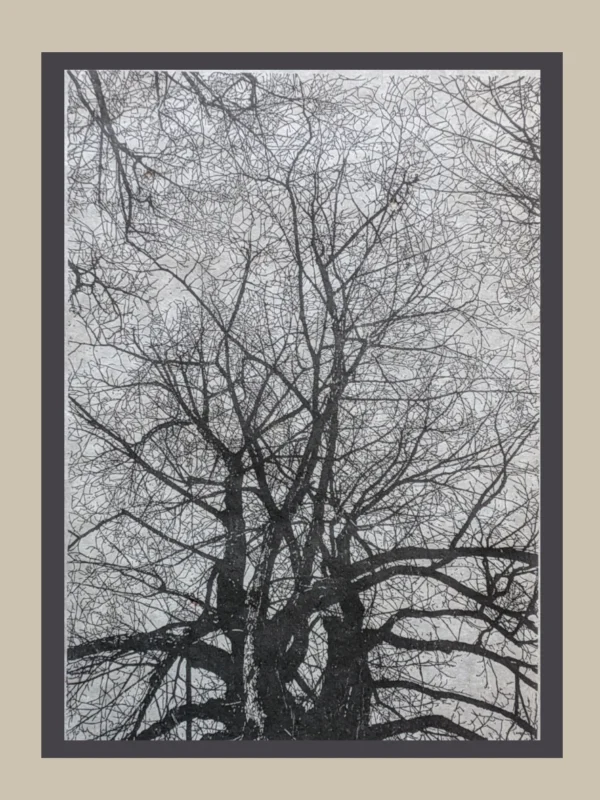 Sterz – Bild 11